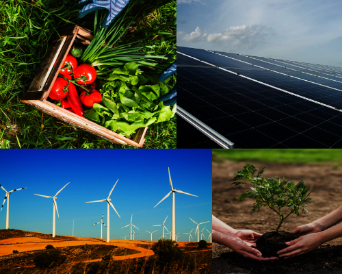 Sustainability